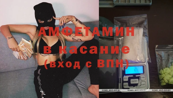 стафф Богданович